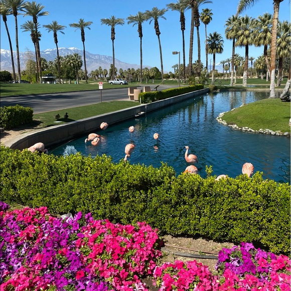 Meet your Posher, Kelly - Picture 1 of 1